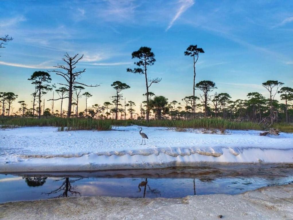 Tortuga Tillys Cape San Blas Exteriör bild
