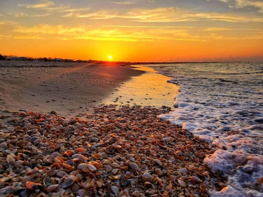 Tortuga Tillys Cape San Blas Exteriör bild